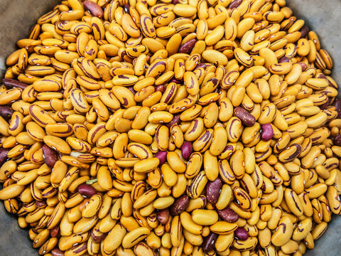 Close up of dried colorful beans.