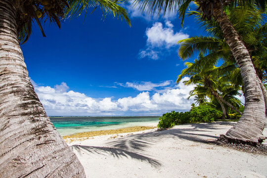 Beautiful beaches of Alphonse Island, Seychelles