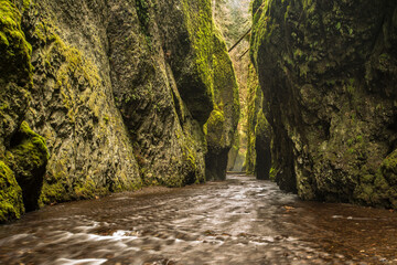 The striking beauty of the Oneonta Gorge slot canyon in the Columbia River Gorge outside of Portland Oregon.