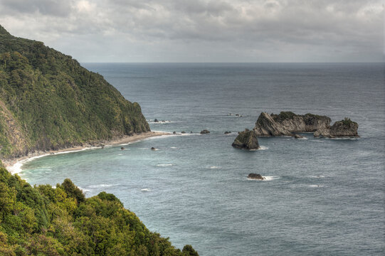 View off New Zealand's West Coast from Knights Point on the South Island