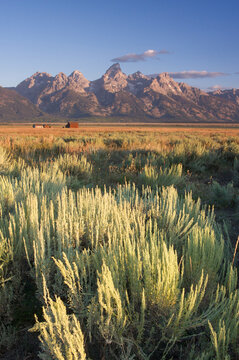 Scenic landscape image of sagebrush flats and Teton range, Grand Teton National Park, Wyoming