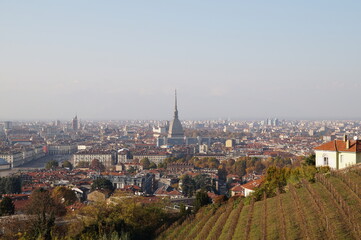 Fototapeta premium Italy, Turin: panoramic view of the city and the Alps 