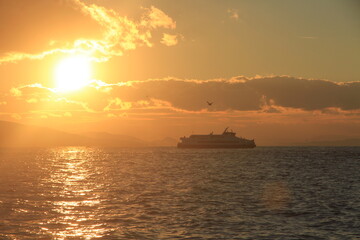 Fototapeta premium sunset over the sea 