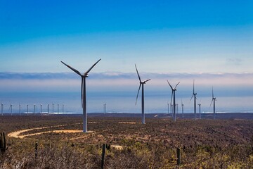 Wind turbines near the pacific ocean with blue sky background