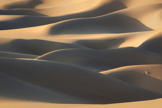 An interplay of soft diffused light and shadows on this section of Death Valley's Eureka Dunes.
