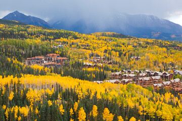 Housing developments above Mountain Village, surrounded by golden aspen trees (Populus tremuloides), in Telluride, Colorado.