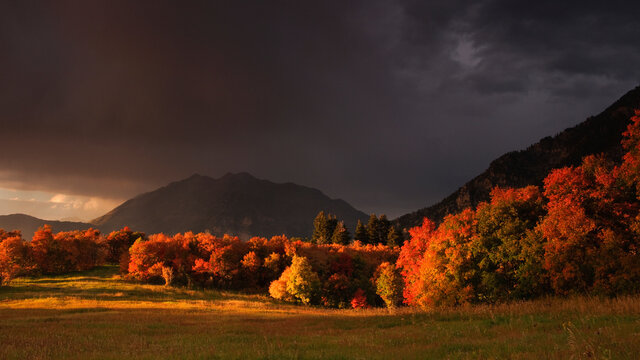 Clouds briefly break, lighting the fall colors during a rainstorm over Mt Timpanogas.
