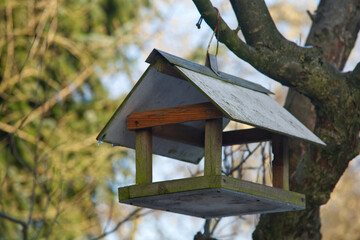 handmade wooden bird house