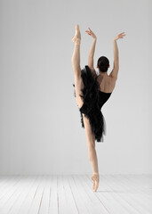 Young beautiful skinny ballerina is posing in studio © Alexander Y
