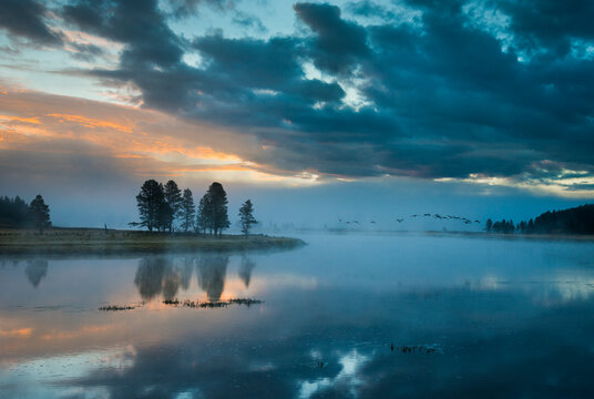 Birds on a sunrise flight over the Yellowstone River in the Hayden Valley.