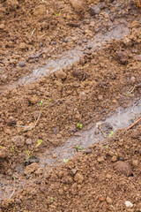 Land in the greenhouse for planting seeds in the spring