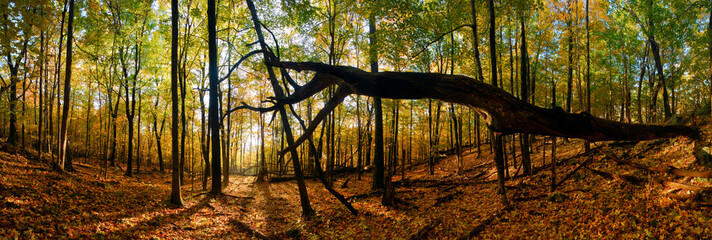 Skyline Drive Shenandoah National Park, Virginia, USA