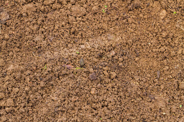 Land in the greenhouse for planting seeds in the spring