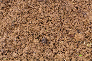 Land in the greenhouse for planting seeds in the spring