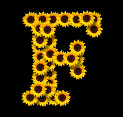 Capital letter F made of yellow sunflowers flowers isolated on black background. Design element for love concepts designs. Ideal for mothers day and spring themes