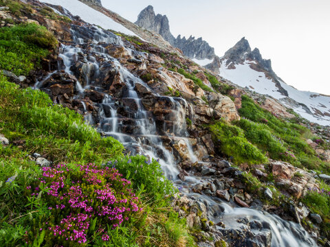 Wildflowers and waterfalls below the Southern Pickets in Terror Basin, North Cascades National Park, Washington.