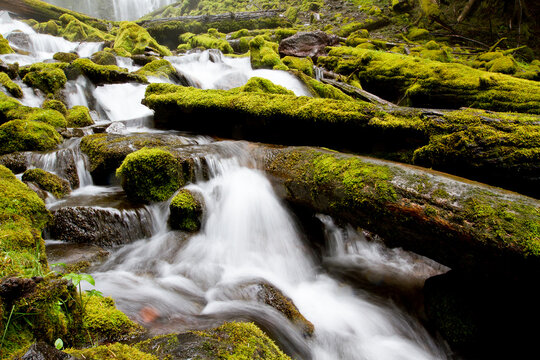 Scenic view of Proxy Falls, located in Willamette National Forest, Oregon.