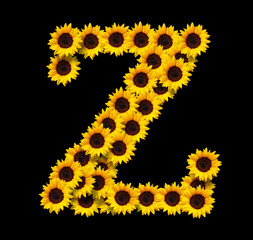 Capital letter Z made of yellow sunflowers flowers isolated on black background. Design element for love concepts designs. Ideal for mothers day and spring themes