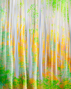 Fall color impressionism.
