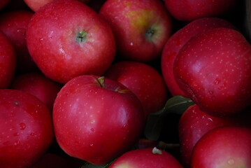 close shot of lots of red apples at market, Portland, Maine