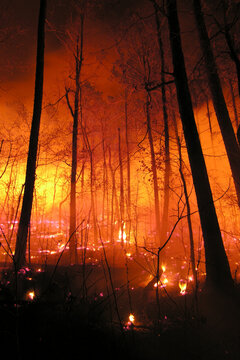 Nighttime fire in Arkansas