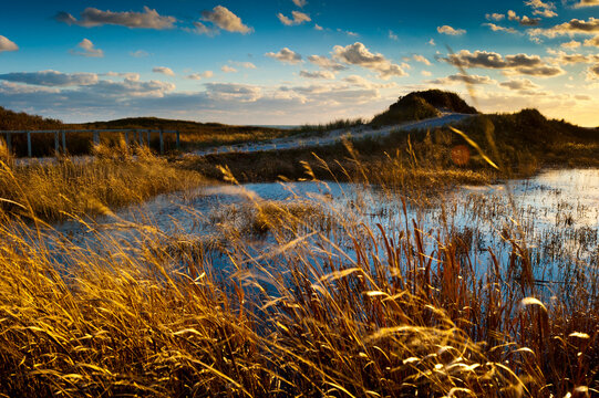 Sunset Along Moshup Beach, Martha's Vineyard With View Of Ocean And Grass Blowing During Late Fall