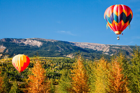 Hot Air Balloons rise above aspen groves in Snowmass Village, Colorado during the 2012 Snowmass Balloon Festival.