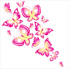 Obraz na płótnie Canvas butterfly796