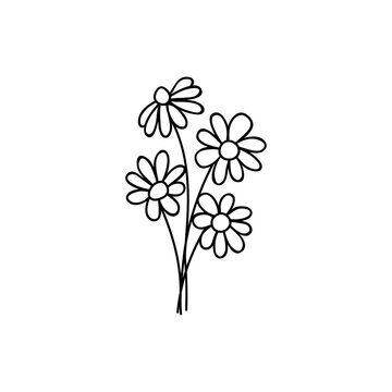 Daisy. Vector illustration in doodle style. Isolate on a white background