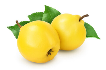 Fresh quince isolated on the white background with clipping path and full depth of field