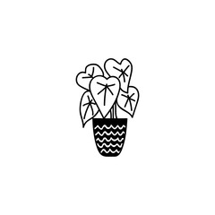 Single hand drawn houseplant. Vector illustration in doodle style.