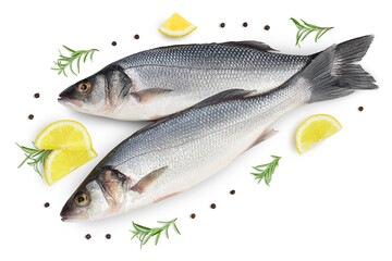 Sea bass fich isolated on white background with clipping path. Top view. Flat lay