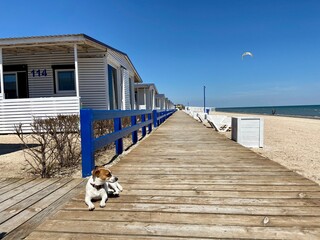 beach hut on the beach