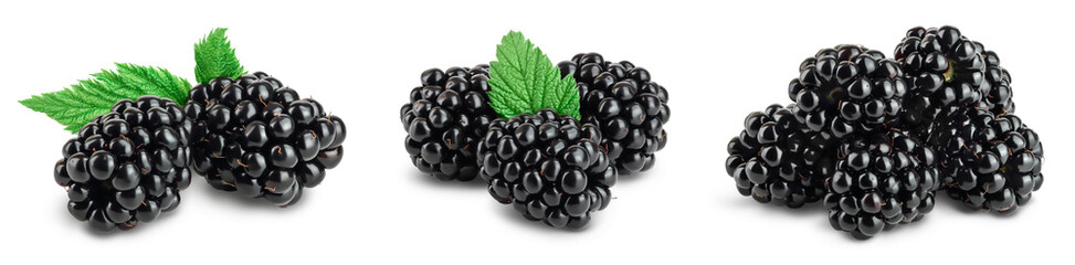 blackberry with leaf isolated on a white background closeup with full depth of field. Set or...