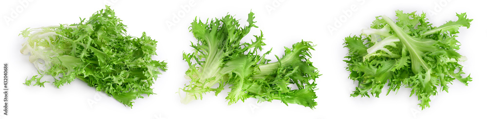 Wall mural fresh green leaves of endive frisee chicory salad isolated on white background with full depth of fi