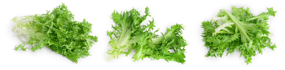 Fresh green leaves of endive frisee chicory salad isolated on white background with full depth of field. Set or collection - obrazy, fototapety, plakaty