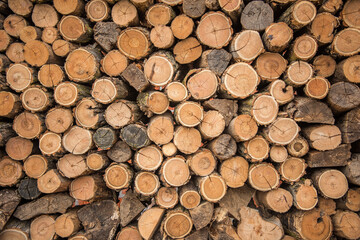 Wood ready for winter. The oldest way of heating