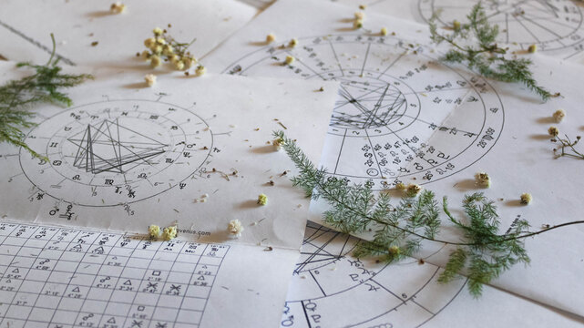 Printed astrology natal charts with small yellow flowers and fragile green plant branches, horoscope report background