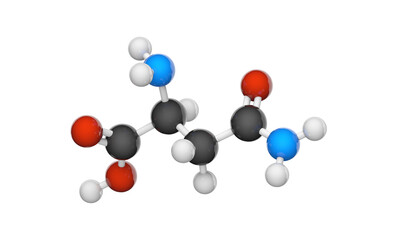 Asparagine (symbol Asn or N), is an amino acid that is used in the biosynthesis of proteins. Formula: C4H8N2O3. 3D illustration. Chemical structure model: Ball and Stick.