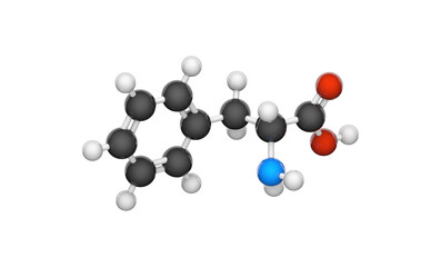 Phenylalanine (symbol Phe or F) is an essential amino acid with the formula C9H11NO2. 3D illustration. Chemical structure model: Ball and Stick. Isolated on white background.