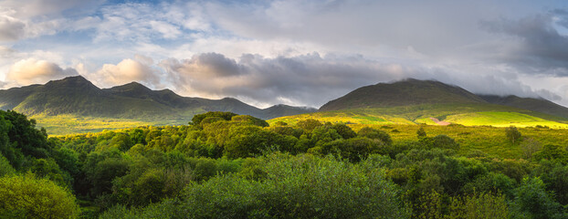 Large panorama with green forest and mountain range illuminated by golden sunlight at sunrise, MacGillycuddys Reeks mountains, Ring of Kerry, Ireland