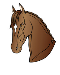 Graceful head of a bay horse. Akhal-Teke horse - vector full color illustration. Stallion of the Eastern breed with a white mark on the forehead. Portrait of an expensive thoroughbred stallion 