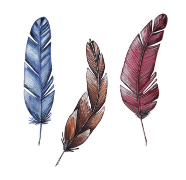 Feathers. Hand drawn marker sketch in boho style. Set of isolated elements on white background. Best for seamless patterns, posters and your design.