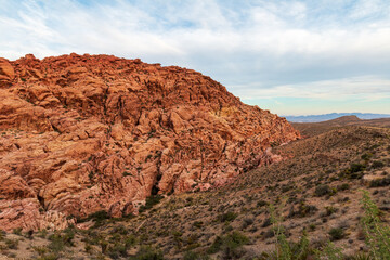 Red Rock Canyon Wall of Aztec Sandstone Calico Hills