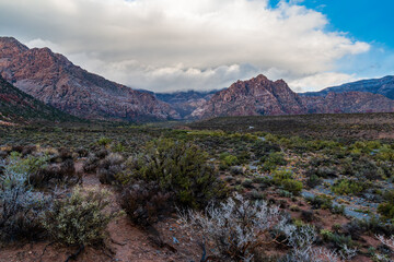 Desert Valley before La Madre Mountain Range Wilderness White Rock Hills from Red Rock Wash Overlook