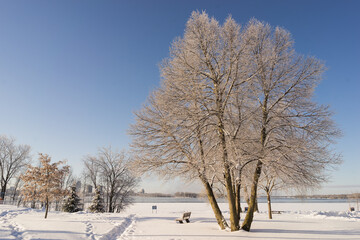 View of Park Moussette and Champlain Bridge in Winter