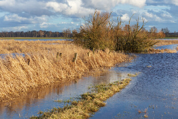 Fr&uuml;hjahrshochwasser in der Oberalsterniederung mit &uuml;berfluteten Wiesen Mitte M&auml;rz in Schleswig-Holstein, Deutschland.