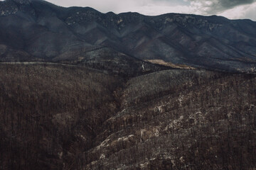 Incendios forestales 