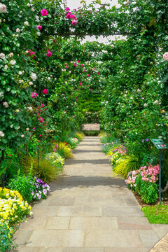 path in the park