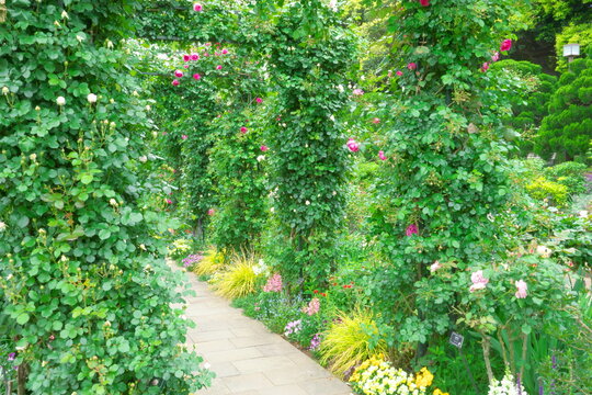 path in the park